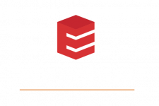 elenchus logo